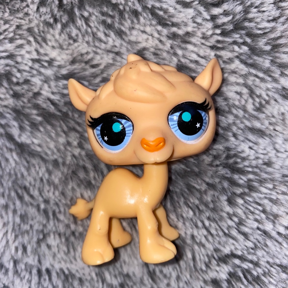 Lps camel